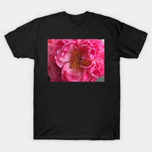 Coral Peony T-Shirt